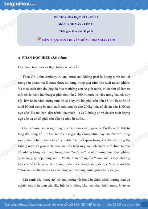 Đề kiểm tra giữa học kì II Ngữ văn 11 - Đề số 11 có lời giải chi tiết